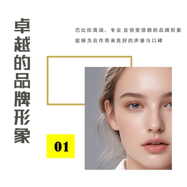 卓越的品牌形象1